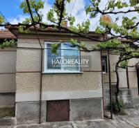 Predaj, rodinný dom Sľažany - EXKLUZÍVNE HALO REALITY - Rodinný dom v Sľažanoch s viničom v záhrade a jednoduchou fasádou.