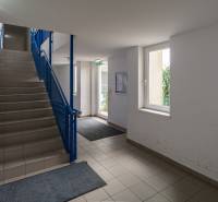 Slnečný 3i byt pod lesom, 74m2, balkón, parking, pivnica, Hainburg - Schodisko v bytovom dome s modrým zábradlím, kobercom a hasiacim prístrojom.