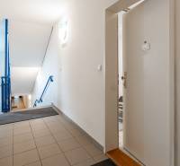 Slnečný 3i byt pod lesom, 74m2, balkón, parking, pivnica, Hainburg - Chodba so schodiskom a vstupom do 3-izbového bytu, podlaha s dreveným dekorom.