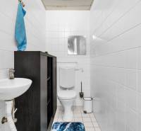 Slnečný 3i byt pod lesom, 74m2, balkón, parking, pivnica, Hainburg - Kúpeľňa v 3-izbovom byte s bielymi stenami, toaletou a umývadlom.