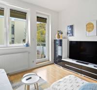 Slnečný 3i byt pod lesom, 74m2, balkón, parking, pivnica, Hainburg - Obývacia izba v 3-izbovom byte s podlahou s dreveným dekorom a televízorom.