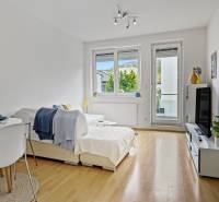 Slnečný 3i byt pod lesom, 74m2, balkón, parking, pivnica, Hainburg - Obývacia izba s jedálenským kútom, podlahou s dreveným dekorom v 3-izbovom byte.