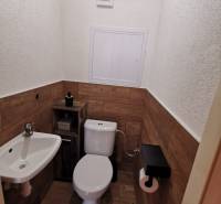 3 izbový byt Zlaté Moravce - Toaleta v 3-izbovom byte, podlaha s dreveným dekorom a umývadlo s batériou.
