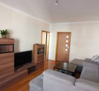 3 izbový byt Zlaté Moravce - Obývačka s podlahou s dreveným dekorom, sivou sedačkou a drevenou stenovou jednotkou, 3-izbový byt.