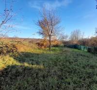 Rodinný dom v obci Dobrá Voda  - Záhrada pri rodinnom dome v Dobrej Vode so stromami a oplotením, obloha je jasná.