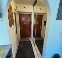 REZERVOVANÉ jednoizbový zrekonštruovaný byt v širšom centre mesta - Vstupná chodba 1-izbového bytu s dlažbou, zrkadlom a koberčekmi.