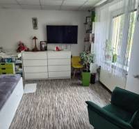 REZERVOVANÉ jednoizbový zrekonštruovaný byt v širšom centre mesta - Izba v 1-izbovom byte s televíziou, regálmi, rastlinami a podlahou s dreveným dekorom.