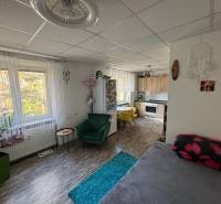 REZERVOVANÉ jednoizbový zrekonštruovaný byt v širšom centre mesta - Obývacia časť a kuchyňa v 1-izbovom byte s podlahou s dreveným dekorom.