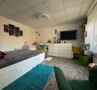 REZERVOVANÉ jednoizbový zrekonštruovaný byt v širšom centre mesta - Izba s posteľou, komodou, televízorom, rastlinami, podlahou s dreveným dekorom a kobercom.