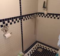 Hospodárska usadlosť s 3,6 hektárovým pozemkom na samote Nová Baňa - Sprchovací kút v kúpeľni rodinného domu s dlaždicovou mozaikou v modrobielej farbe.