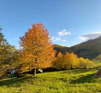 Hospodárska usadlosť s 3,6 hektárovým pozemkom na samote Nová Baňa - Jesenná krajina na slnečnom svahu, ideálna pre rodinný dom, príroda, voľnočasové aktivity.