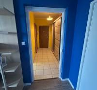 Veľký 2-izb. byt na ul. Vranovská, Petržalka, lodžia, 4.p./7 - Garsónka s farebnými stenami, bielym dverami a podlahou s dreveným dekorom.