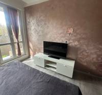 Stavbárska ulica,2-garsónka na prenájom - Izba v dvojgarsónke s TV, kreslom a dekoratívnou stenou.
