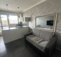 Stavbárska ulica,2-garsónka na prenájom - Dvojgarsónka s kuchynským ostrovčekom, pohovkou a zrkadlom na šedej stene.