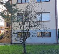 Rodinný dom, garáž a záhrada 1.400 m2, Hronské Kosihy (SM–847) - Rodinný dom v Hronských Kosihách so záhradou a samostatne stojacim stromom.