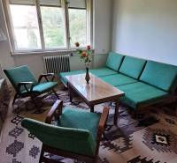 Rodinný dom, garáž a záhrada 1.400 m2, Hronské Kosihy (SM–847) - Obývacia izba v rodinnom dome, zelené kreslá, koberec s geometrickými vzormi.