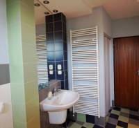 Rodinný dom, garáž a záhrada 1.400 m2, Hronské Kosihy (SM–847) - Kúpeľňa v rodinnom dome s umývadlom, sprchou a obrazom plachetnice.