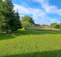 Rodinný dom, garáž a záhrada 1.400 m2, Hronské Kosihy (SM–847) - Záhrada rodinného domu v Hronských Kosihách s udržiavaným trávnikom a stromami.