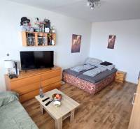 Príjemný 1i byt, zariadený, pivnica, Drobného ul., Dúbravka - Obývacia izba v 1-izbovom byte s pohovkou, posteľou a podlahou s dreveným dekorom.