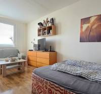 Príjemný 1i byt, zariadený, pivnica, Drobného ul., Dúbravka - Izba 1-izbového bytu s posteľou, gaučom a podlahou s dreveným dekorom.