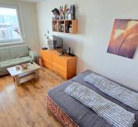 Príjemný 1i byt, zariadený, pivnica, Drobného ul., Dúbravka - Interiér 1-izbového bytu so sedačkou, stolíkom, posteľou a podlahou s dreveným dekorom.