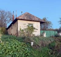 RD TVRDOMESTICE, pozemkom s prístupom z oboch strán - Rodinný dom v Tvrdomesticiach so záhradou, zelené brány, rastliny, modrá obloha.