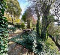 Záhrada s chatou s čarovným výhľadom, BA – Karlova Ves - Záhrada s bujnou vegetáciou a starým vozom v Bratislave - Karlovej Vsi, Hany Meličkovej. Pozemky - bývanie.