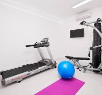 KRÁSNA MODERNÁ VILA  /400 m²/ s výhľadom na more, ostrov BRAČ - Domáca posilňovňa vo vile so zariadením: bežecký pás, lavica, modrý fitlopta.