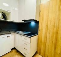 Na predaj rekreačná chata s pozemkom, Domaša, Valkov - Kuchyňa s bielymi skrinkami, chladničkou, kávovarom a podlahou s dreveným dekorom v chate.