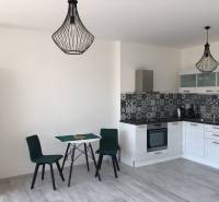 PRENÁJOM 1i byt s Loggiou, Tomášikova ul., Ružinov - Kuchyňa v 1-izbovom byte s jedálenským stolom a podlahou s dreveným dekorom.