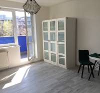 PRENÁJOM 1i byt s Loggiou, Tomášikova ul., Ružinov - Okná na 1-izbovom byte s podlahou s dreveným dekorom a výhľadom na balkón.