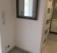 PRENÁJOM 1i byt s Loggiou, Tomášikova ul., Ružinov - Chodba s veľkým zrkadlom v 1-izbovom byte s podlahou s dreveným dekorom.