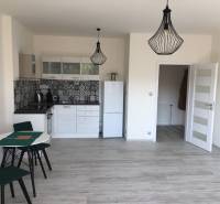 PRENÁJOM 1i byt s Loggiou, Tomášikova ul., Ružinov - Kuchyňa v 1-izbovom byte so vzorovaným obkladom a podlahou s dreveným dekorom.