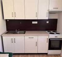 Predaj : 1 izbový byt v meste Čadca časť Žarec  (336-B) - Kuchynská linka v 1-izbovom byte s umývadlom, sporákom a úložným priestorom.