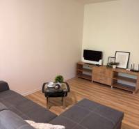 Predaj : 1 izbový byt v meste Čadca časť Žarec  (336-B) - Obývačka s pohovkou, konferenčným stolíkom a stolíkom s televízorom v 1-izbovom byte.