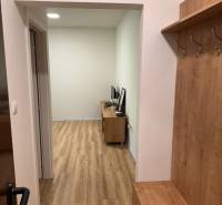 Predaj : 1 izbový byt v meste Čadca časť Žarec  (336-B) - Chodba s vešiakovou stenou a vstupom do obývačky, 1-izbový byt.