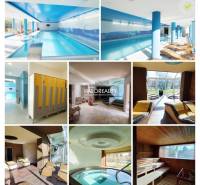 Prenájom, reštauračný priestor Dudince, Bar a Wellne... - Wellness centrum s bazénom, saunou a relaxačnými priestormi, podlaha s dreveným dekorom.