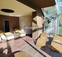 Prenájom, reštauračný priestor Dudince, Bar a Wellne... - Interiér gastro priestorov s ležadlami, presklenou stenou a podlahou s dreveným dekorom.