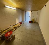 Garáž na Mlynskej ul. na prenájom - Garáže s náradím a osvetlením, podlaha s dreveným dekorom, otvorené dvere na denné svetlo.