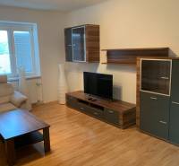 PRIESTRANNÝ 2-IZB BYT V UZAVRETOM AREÁLI, MIEROVÁ KOLÓNIA, NOVÉ MESTO - Obývacia izba 2-izbového bytu s podlahou s dreveným dekorom a televíziou.