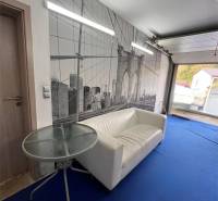 Rodinný dom v obci Dubová s 920m2 rozsiahlym pozemkom  - Izba v rodinnom dome s bielou sedačkou, tapetou mosta a modrým kobercom.