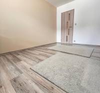 Rodinný dom v obci Dubová s 920m2 rozsiahlym pozemkom  - Miestnosť v rodinnom dome s podlahou s dreveným dekorom a svetlými stenami.