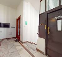 3D, kancelárske priestory od 16 m2, Grösslingova ul., Staré Mesto - Interiér kancelárie s výťahom, schodiskom, televízorom a kvetinou v Bratislave - Starom Meste.