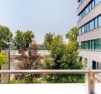 3D, prenájom, unikátne kancel. priestory Zuckermandel, Staré Mesto - Pohľad z terasy kancelárií na Žižkovej ulici v Bratislava - Staré Mesto.