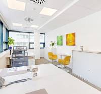 3D, prenájom, unikátne kancel. priestory Zuckermandel, Staré Mesto - Kancelárie s bielymi stolmi, žltými kreslami a svetlými stenami, dekorované farebnými obrazmi.