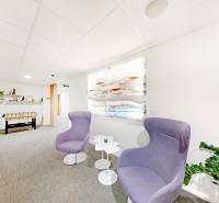 3D, prenájom, unikátne kancel. priestory Zuckermandel, Staré Mesto - Kancelárie s pohodlnými kreslami, stolíkom, stojanovými rastlinami a futbalovým stolom.