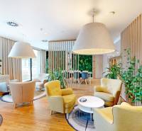 3D, prenájom, unikátne kancel. priestory Zuckermandel, Staré Mesto - Svetlé kancelárie s pohodlnými kreslami, veľkými rastlinami a podlahou s dreveným dekorom.