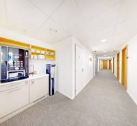 3D, prenájom, unikátne kancel. priestory Zuckermandel, Staré Mesto - Kancelária s kávovarom a vodným automatom, svetlé steny a koberec.