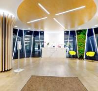 3D, kancelársky priestor od 25,7 m2 lukratívna časť Nivy, Košická ul. - Kancelárie s dreveným dekorom, farebnými stoličkami a zelenou stenou.