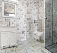 PRENAJATÉ | NA PRENÁJOM 2x 2-IZBOVÉ BYTY S TERASOU,DUNAJSKÁ STREDA - Kúpeľňa v 2-izbovom byte s umývadlom, sprchovacím kútom a dekoratívnymi obkladmi.